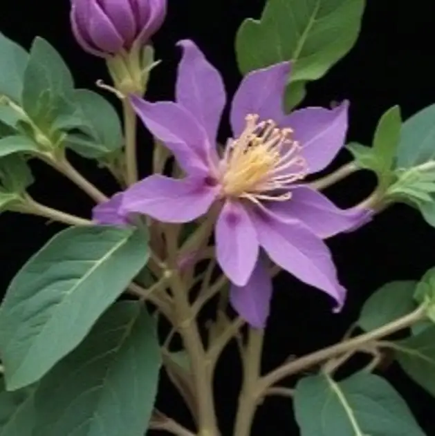 imagen-producto-thefoodtech