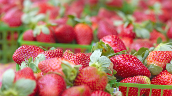 imagen-producto-thefoodtech