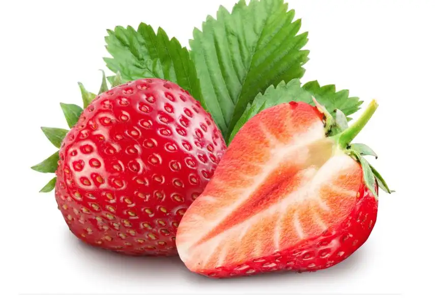 imagen-producto-thefoodtech