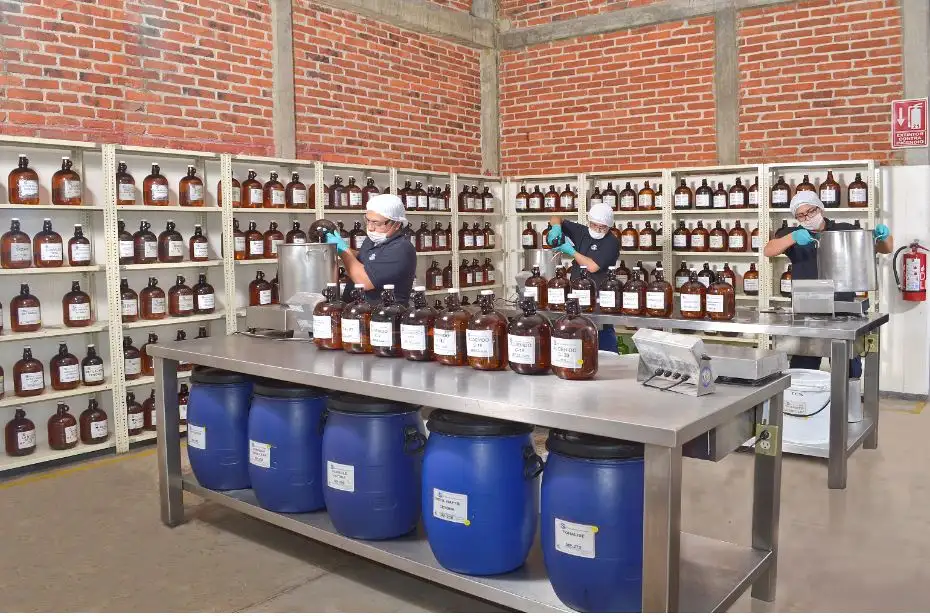 imagen-producto-thefoodtech