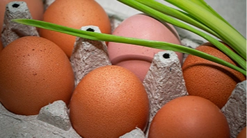 imagen-producto-thefoodtech