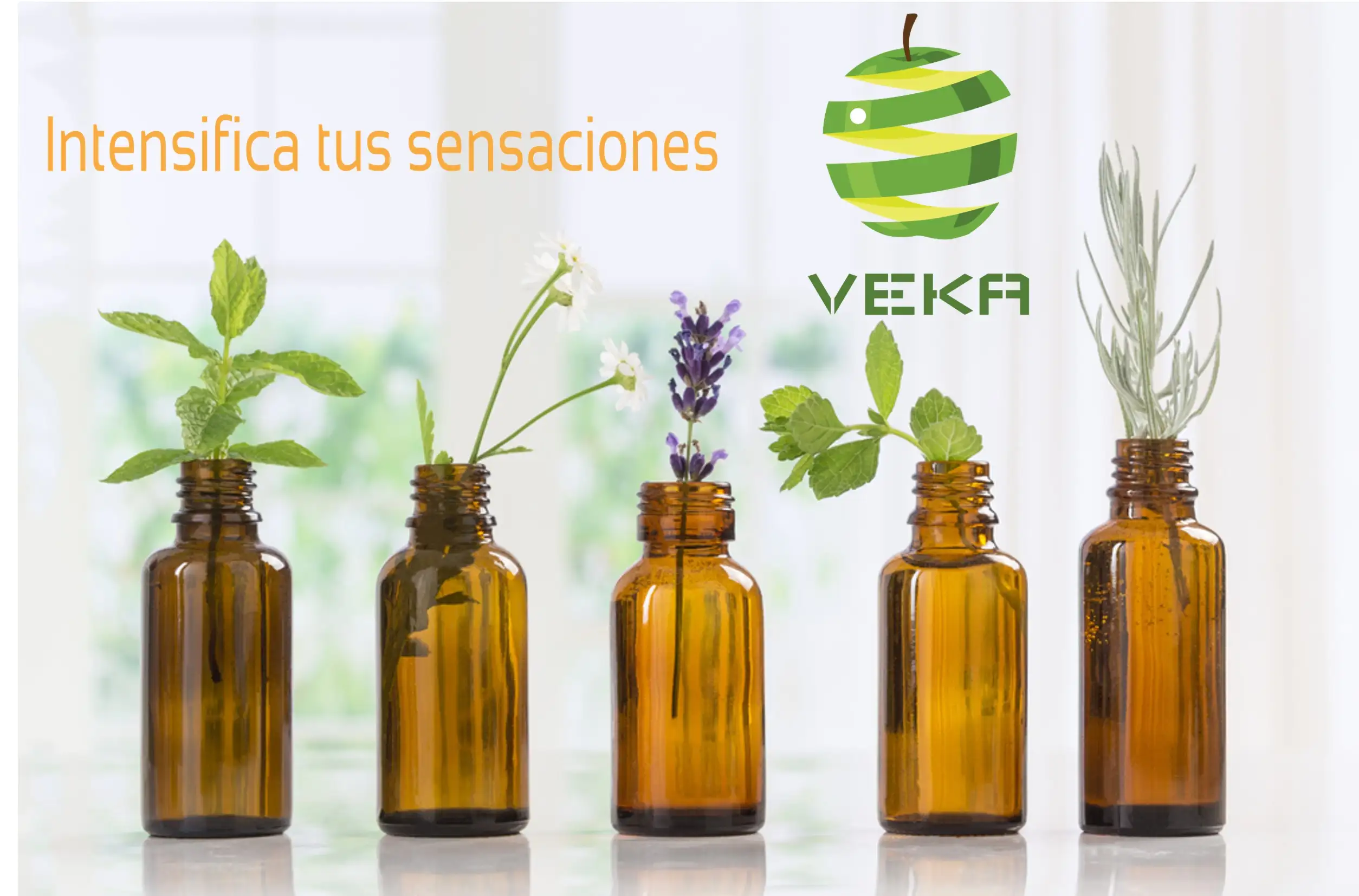 imagen-producto-thefoodtech