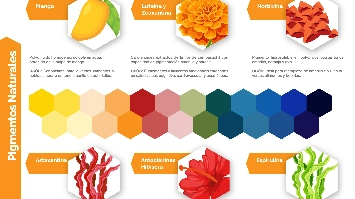 imagen-producto-thelogisticsworld