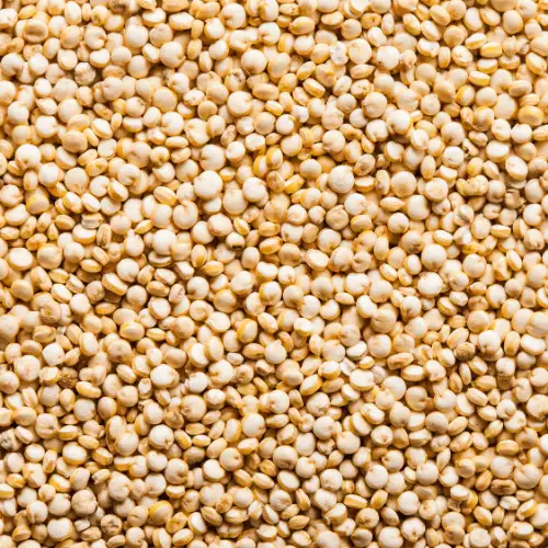 imagen-producto-thefoodtech