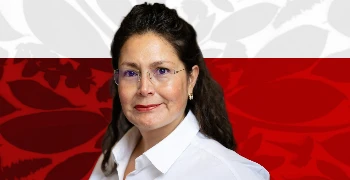 construcción de una etiqueta limpia