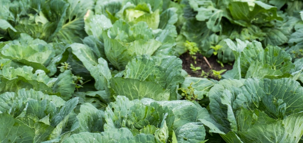 imagen-nota-thefoodtech.com