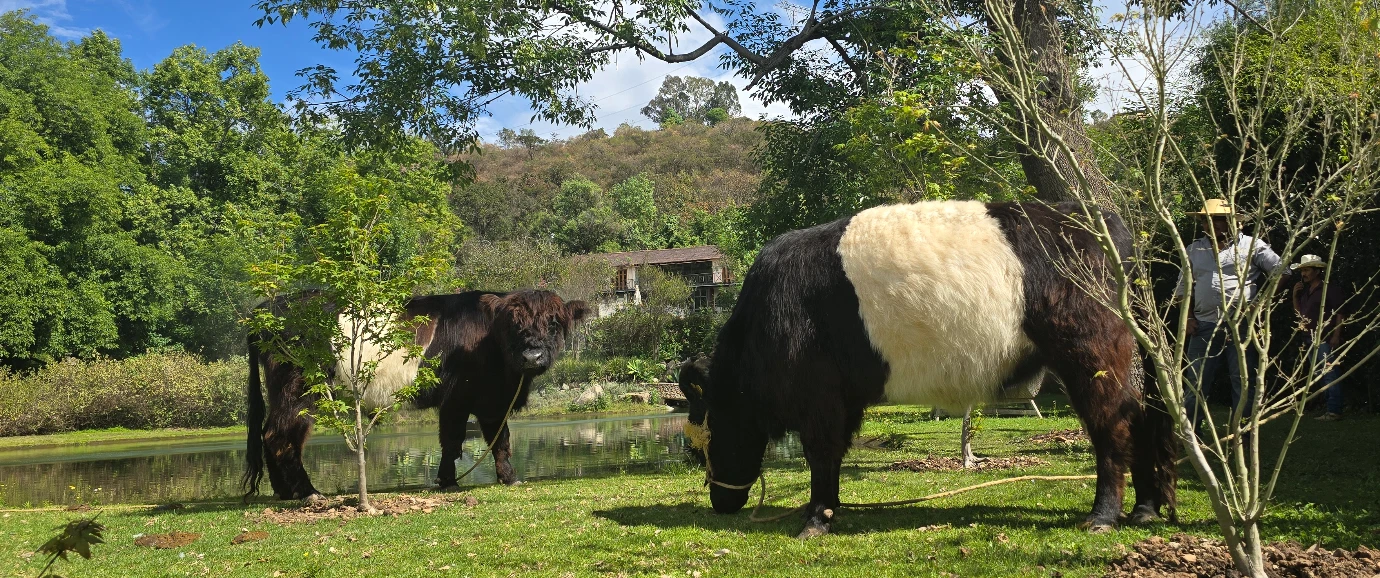 imagen-nota-thefoodtech.com