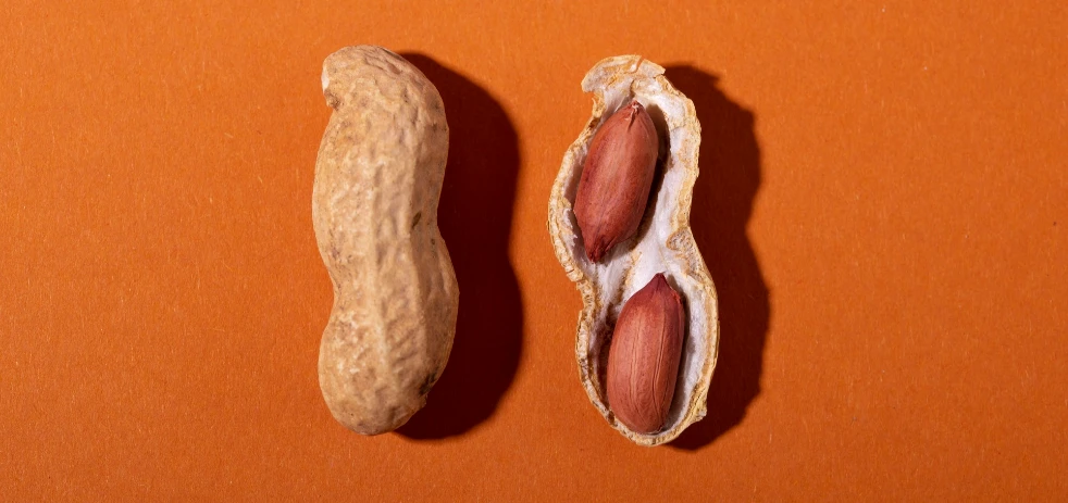 imagen-nota-thefoodtech.com