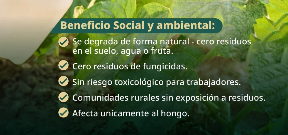 imagen-nota-thefoodtech.com