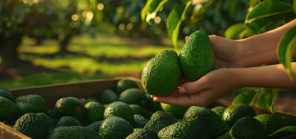 imagen-nota-thefoodtech.com