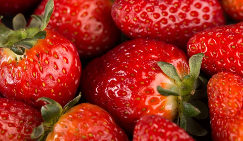 galeria-thefoodtech.com