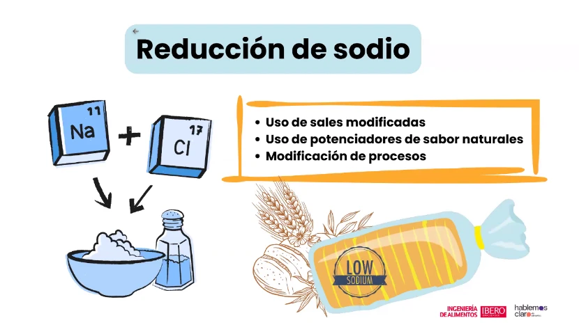 galeria-thefoodtech.com