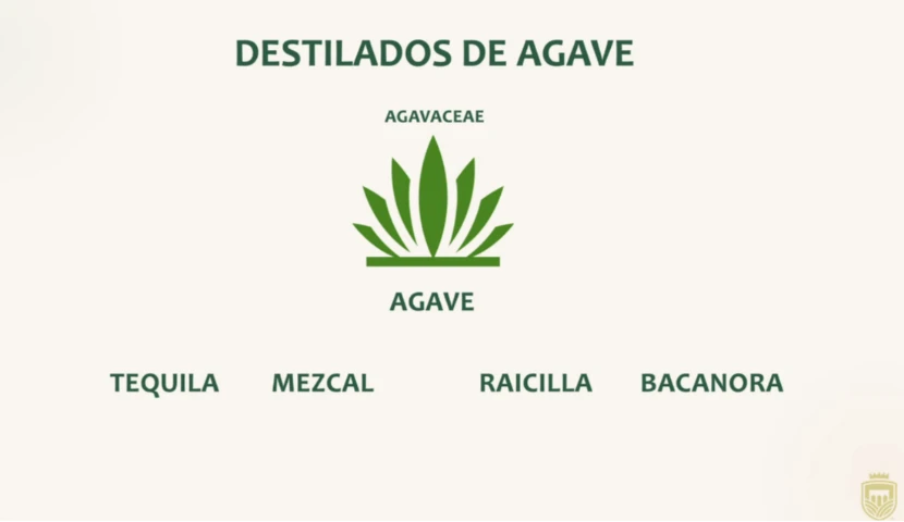 galeria-thefoodtech.com