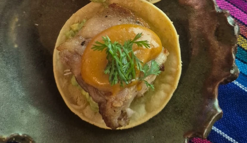 galeria-thefoodtech.com