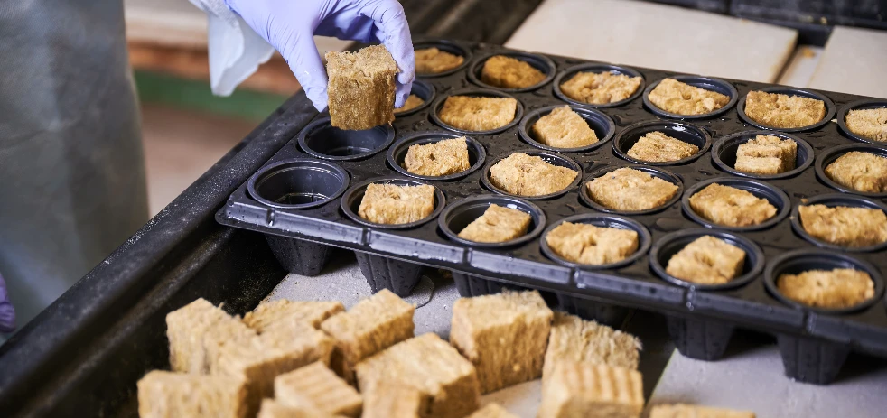 imagen-nota-thefoodtech.com
