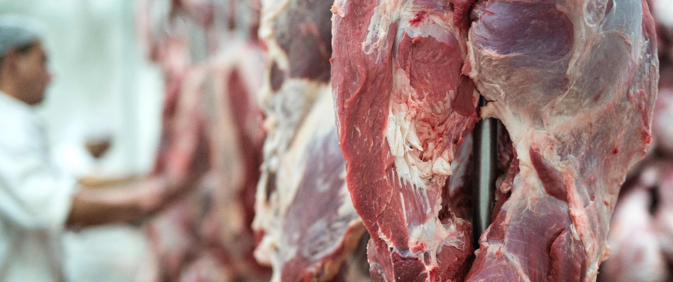 Exportaciones de carne de México crecen 36% impulsadas por el menor inventario ganadero de EE. UU. en 70 años