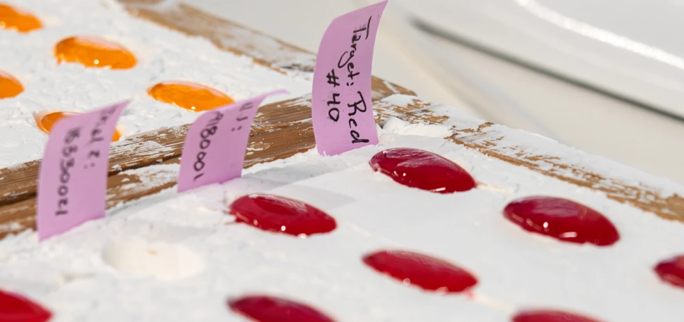 imagen-nota-thefoodtech.com