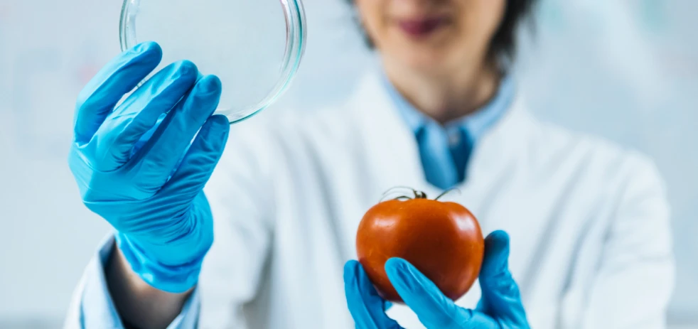 imagen-nota-thefoodtech.com