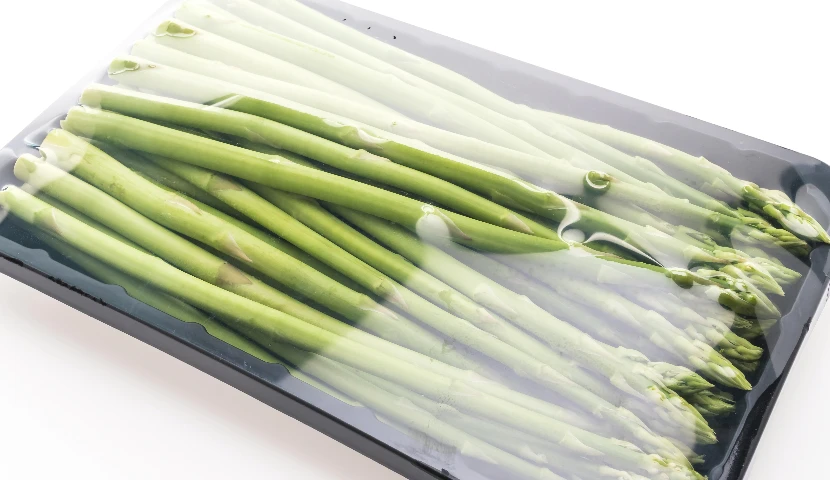 galeria-thefoodtech.com