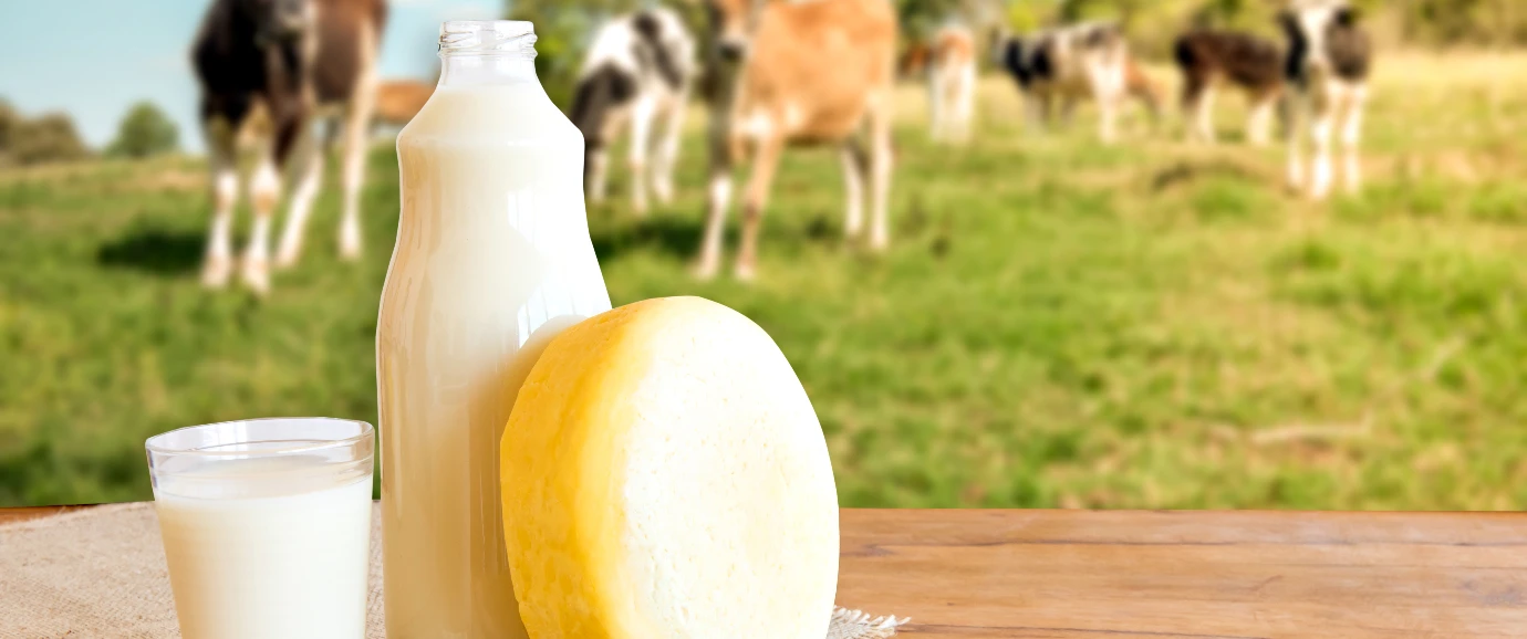 imagen-nota-thefoodtech.com