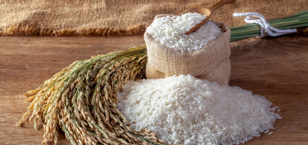 imagen-nota-thefoodtech.com