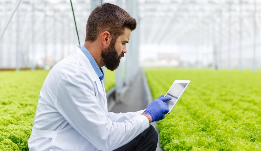 galeria-thefoodtech.com