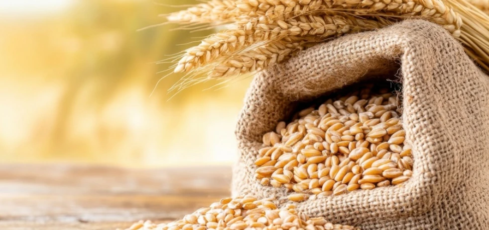 imagen-nota-thefoodtech.com