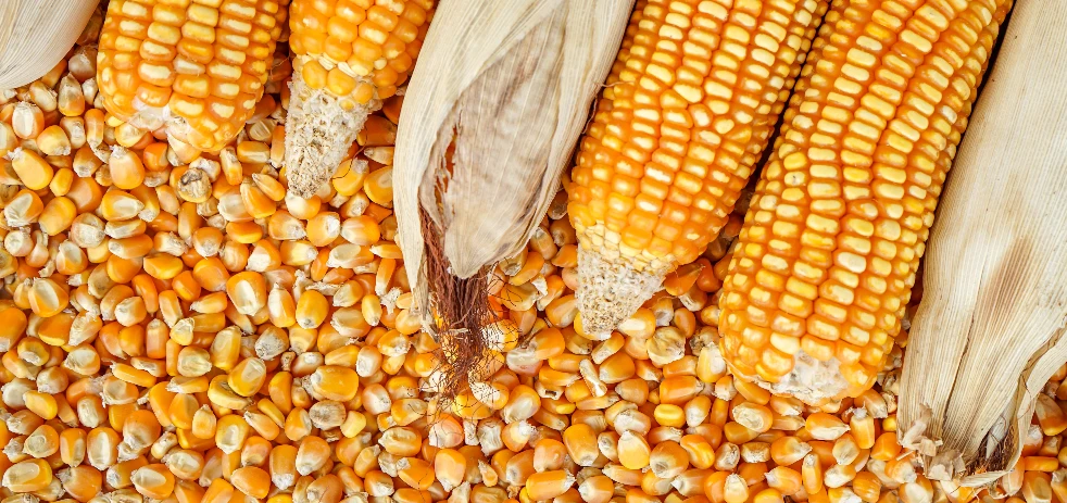 imagen-nota-thefoodtech.com