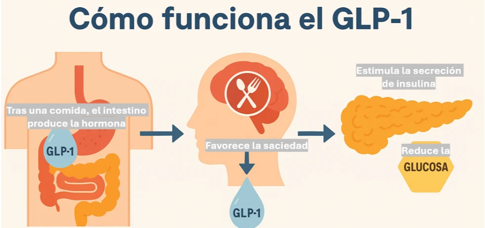 glp 1 probiotic akkermansia GLP-1 Supplement