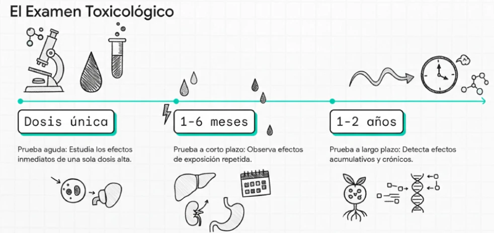 imagen-nota-thefoodtech.com