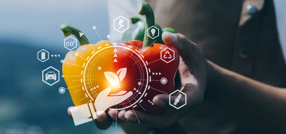 imagen-nota-thefoodtech.com