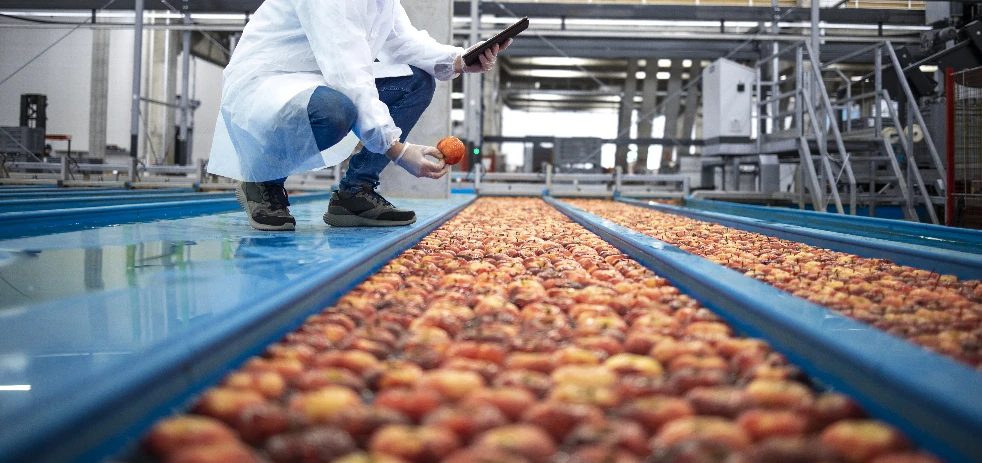 imagen-nota-thefoodtech.com