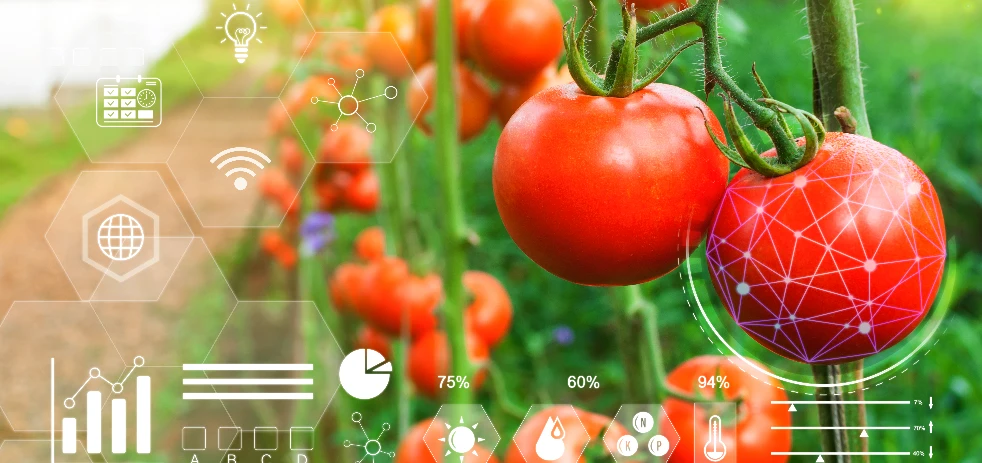 imagen-nota-thefoodtech.com