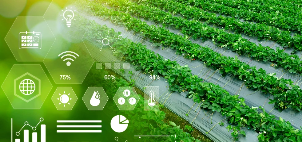 imagen-nota-thefoodtech.com