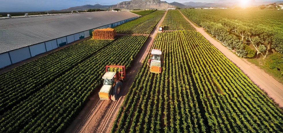 imagen-nota-thefoodtech.com