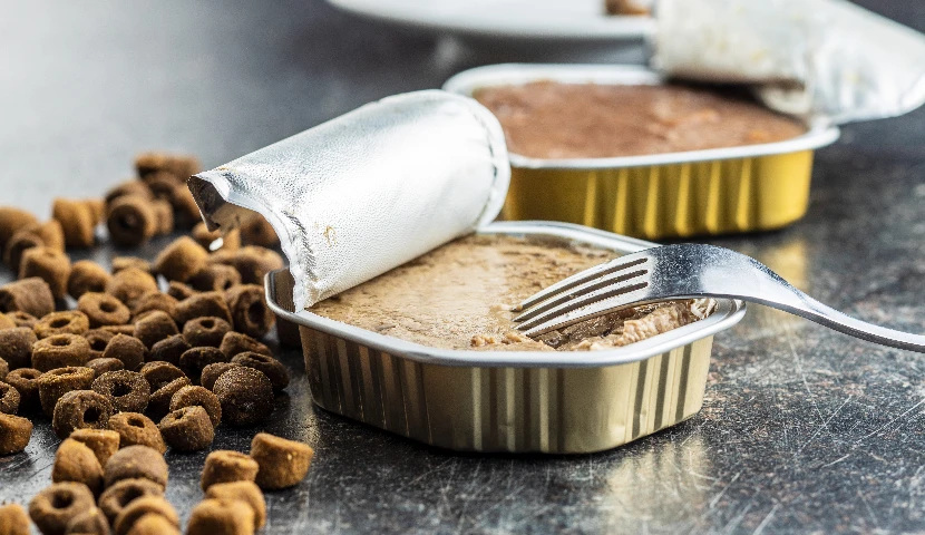 galeria-thefoodtech.com