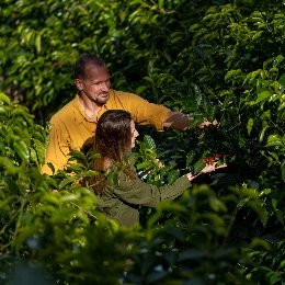 World of Coffee 2026 campo